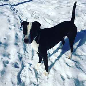 Meet your Posher, Kerry